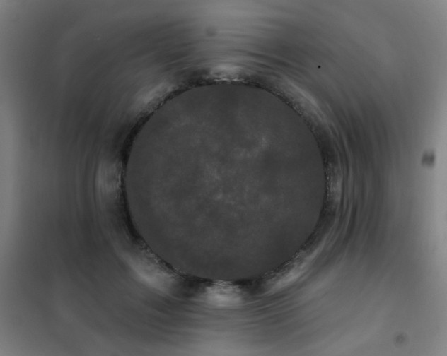 X0000102290603200807251423