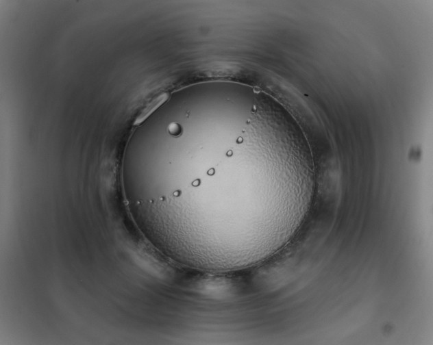 X0000102290604200807251423