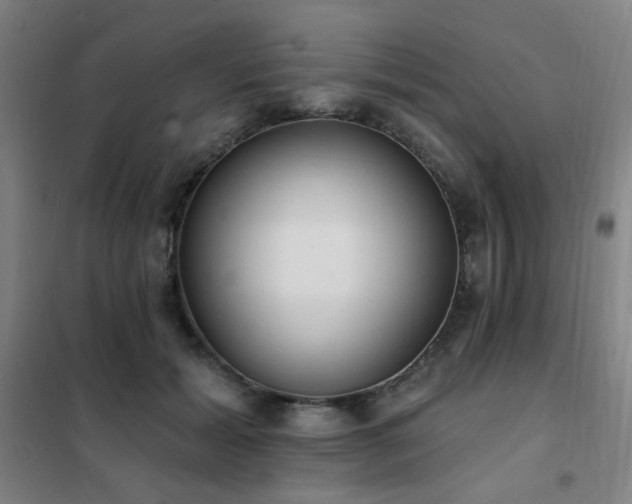 X0000102290605200807251423