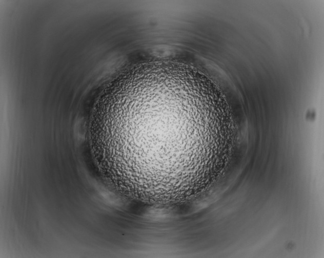 X0000102290606200807251423