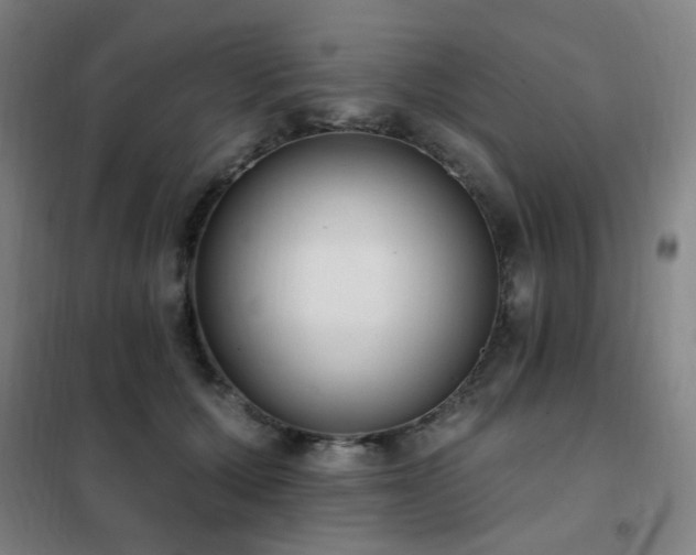 X0000102290607200807251423