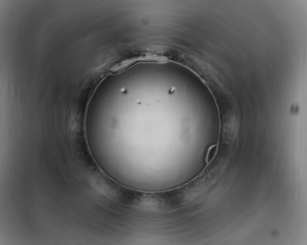 X0000102290608200807251423
