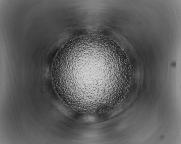 X0000102290610200807251423