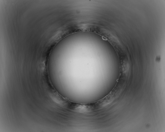 X0000102290611200807251423