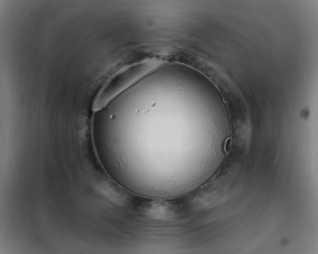 X0000102290612200807251423