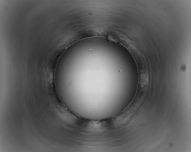 X0000102290613200807251423