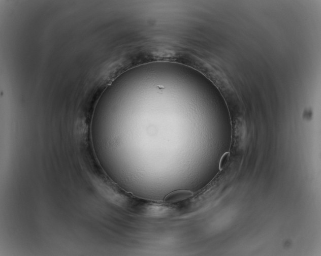 X0000102290614200807251423