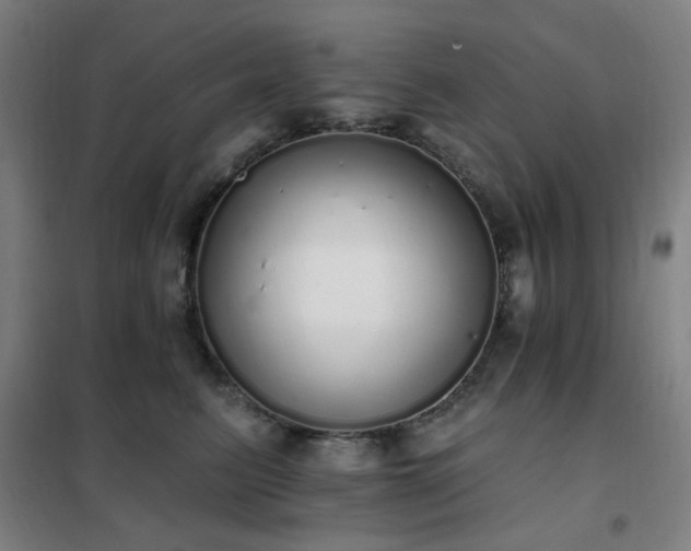 X0000102290615200807251423