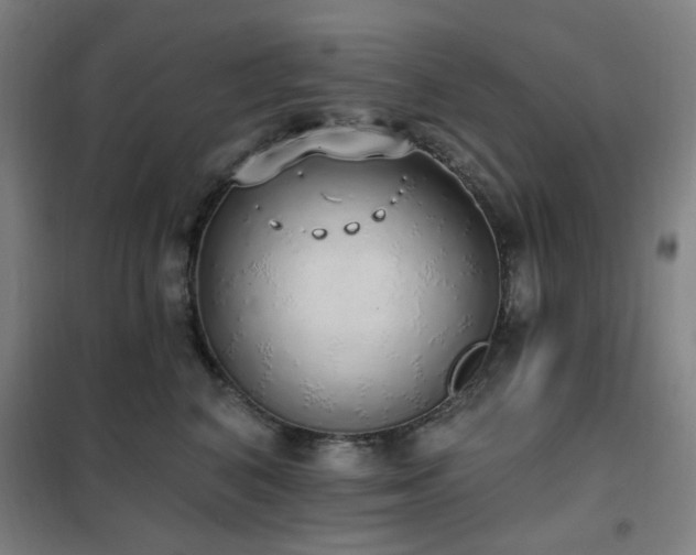 X0000102290616200807251423