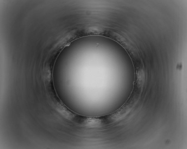 X0000102290617200807251423