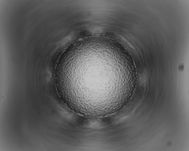 X0000102290618200807251423