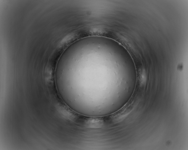 X0000102290619200807251423