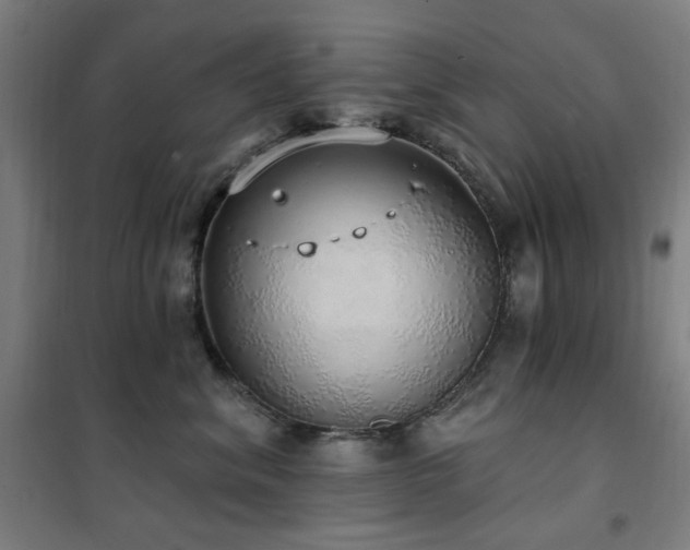 X0000102290620200807251423