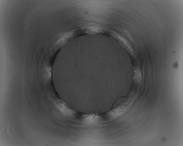 X0000102290621200807251423
