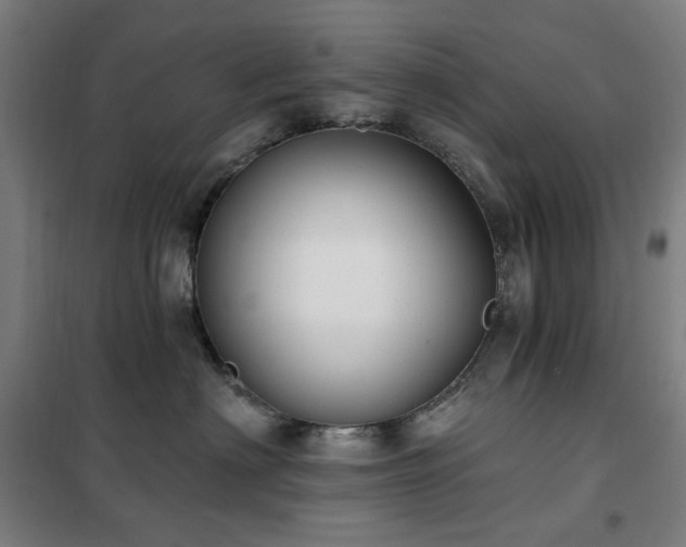 X0000102290622200807251423