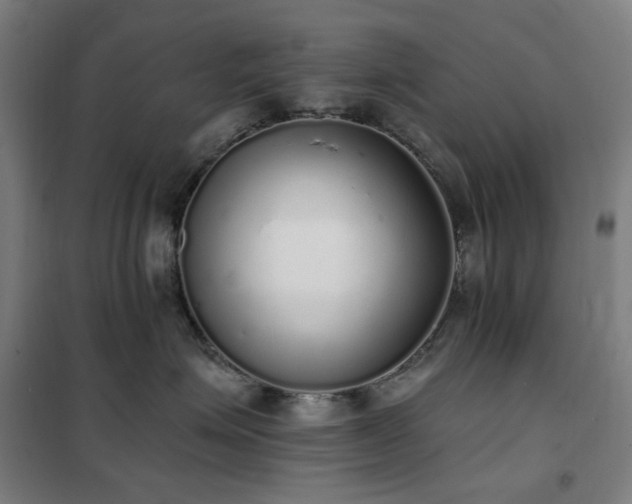 X0000102290623200807251423