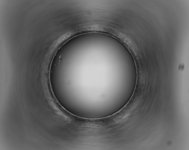 X0000102290625200807251422