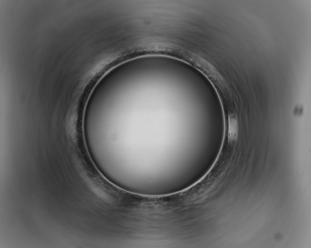 X0000102290627200807251422