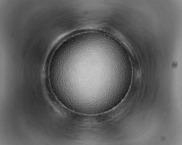 X0000102290628200807251422