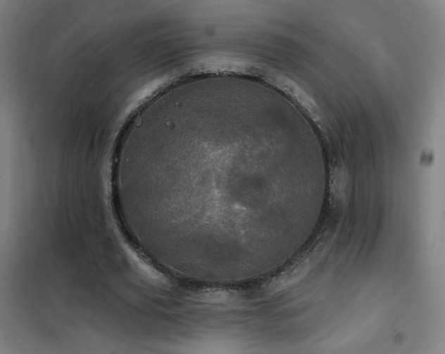X0000102290629200807251422