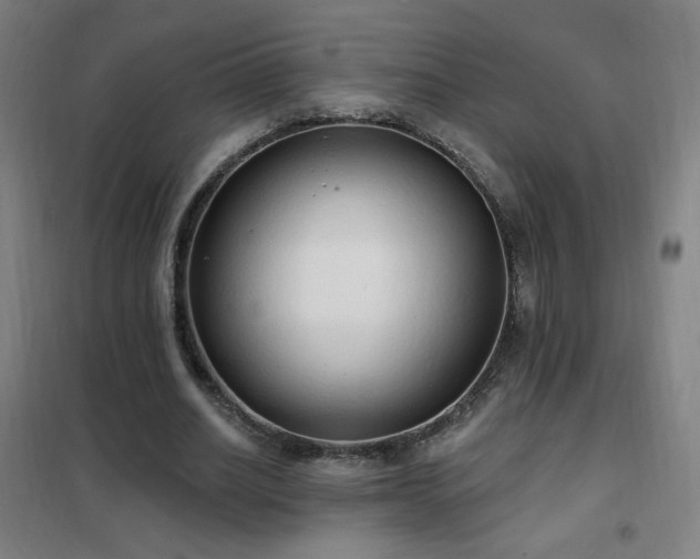 X0000102290630200807251422