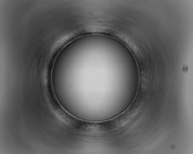 X0000102290631200807251422