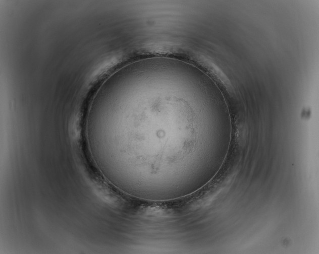 X0000102290635200807251422