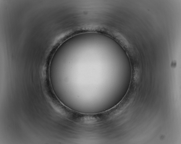 X0000102290636200807251423