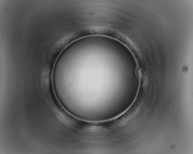 X0000102290637200807251423