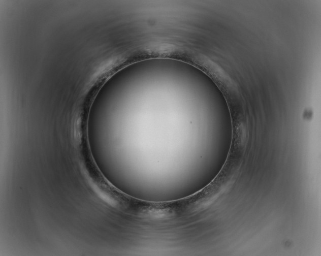 X0000102290638200807251423