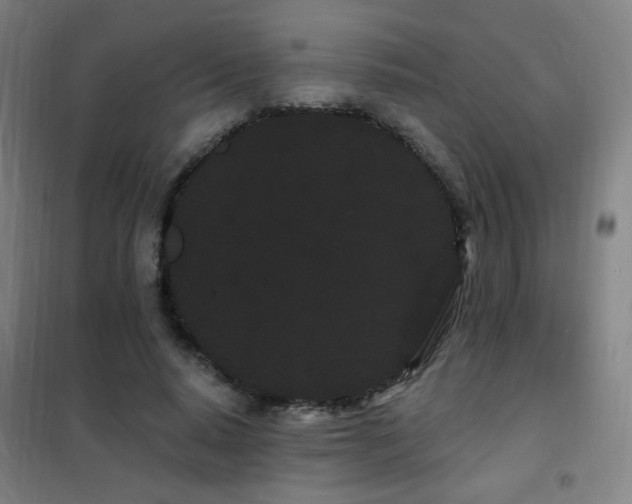 X0000102290640200807251423