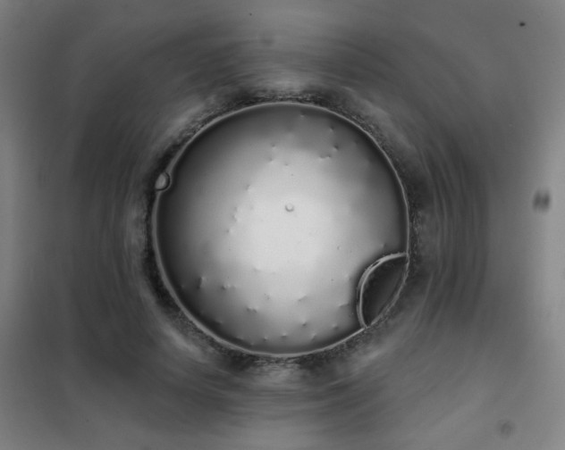 X0000102290642200807251423