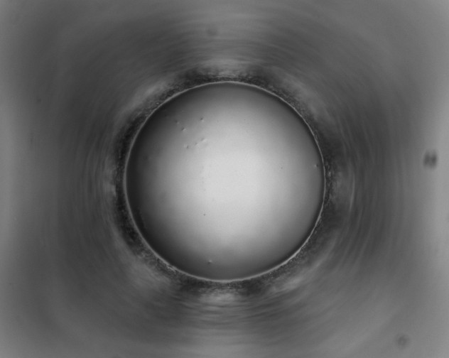 X0000102290643200807251423