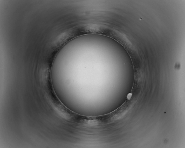 X0000102290645200807251423