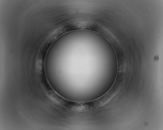 X0000102290646200807251423