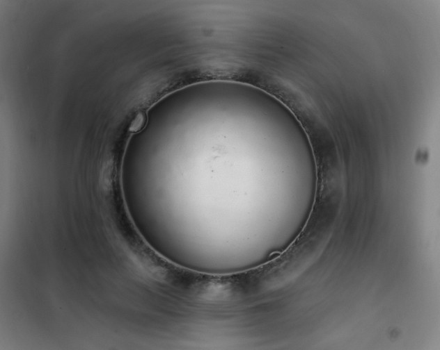 X0000102290647200807251423
