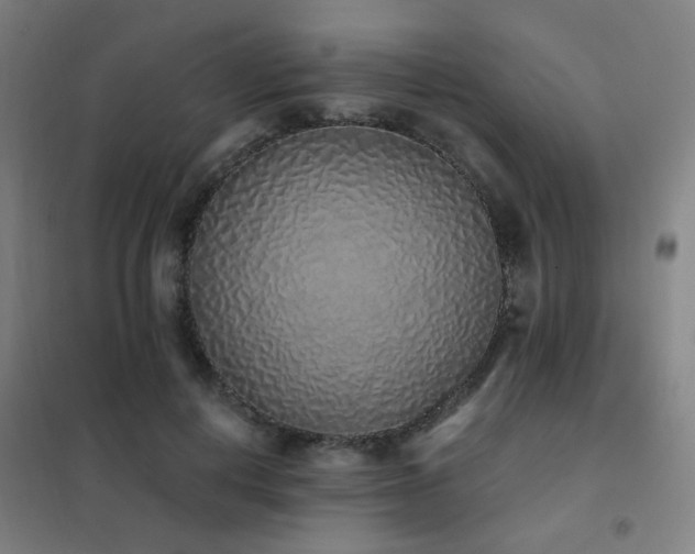 X0000102290648200807251423