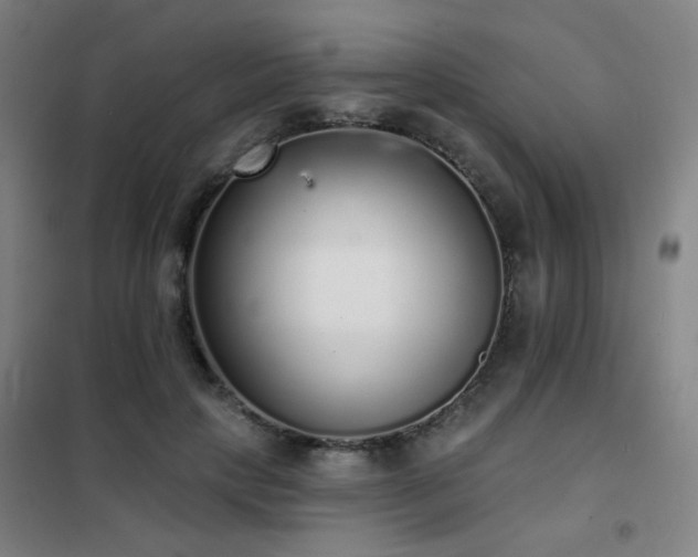 X0000102290649200807251423