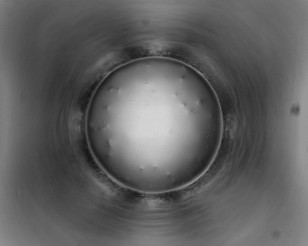 X0000102290650200807251423