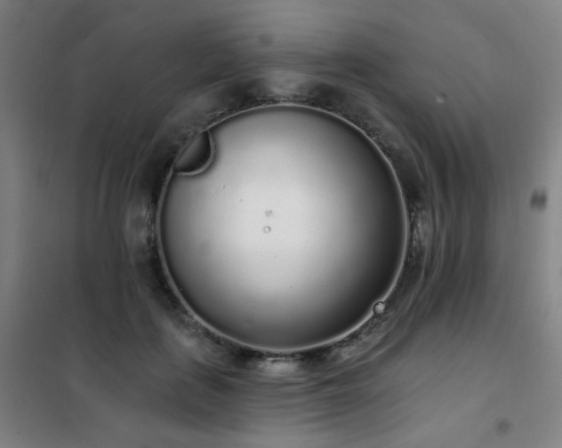 X0000102290651200807251423