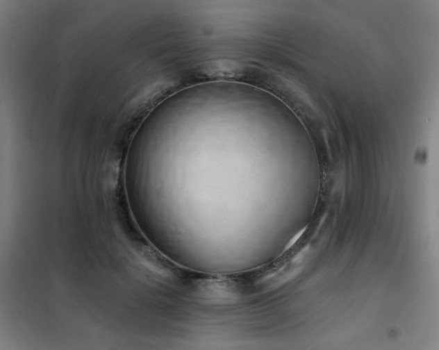 X0000102290652200807251423