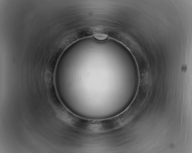 X0000102290653200807251423