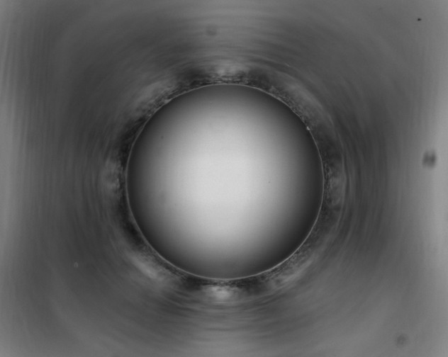 X0000102290654200807251423
