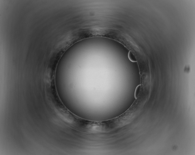 X0000102290655200807251423
