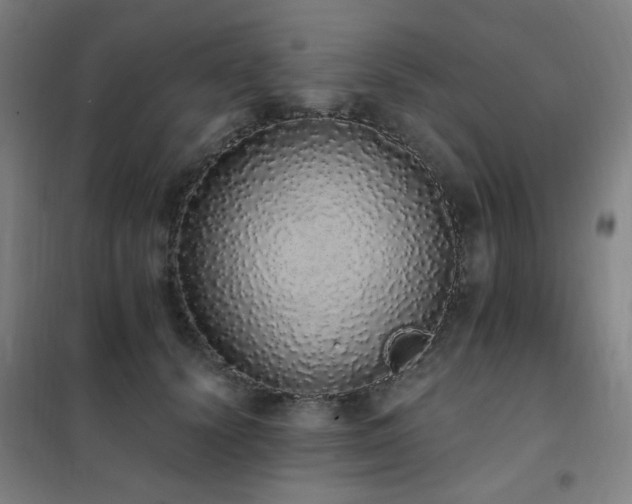 X0000102290656200807251423