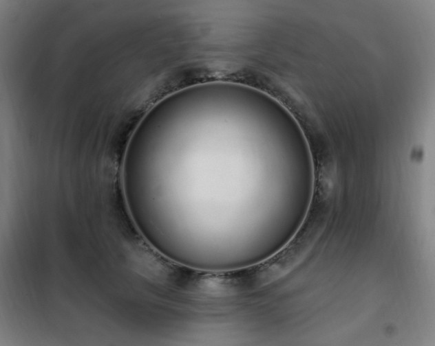 X0000102290657200807251423