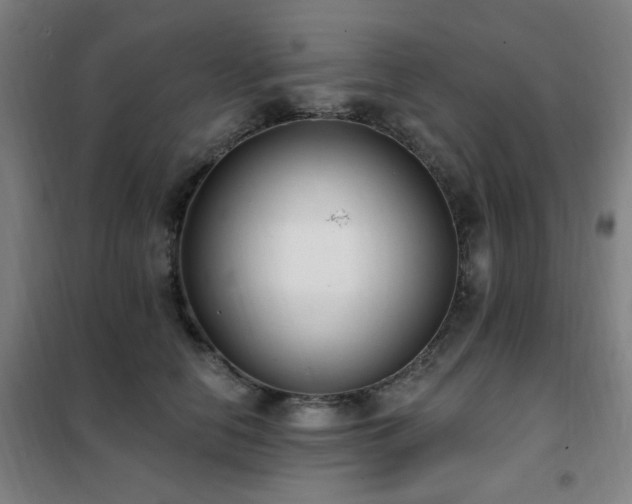 X0000102290658200807251423