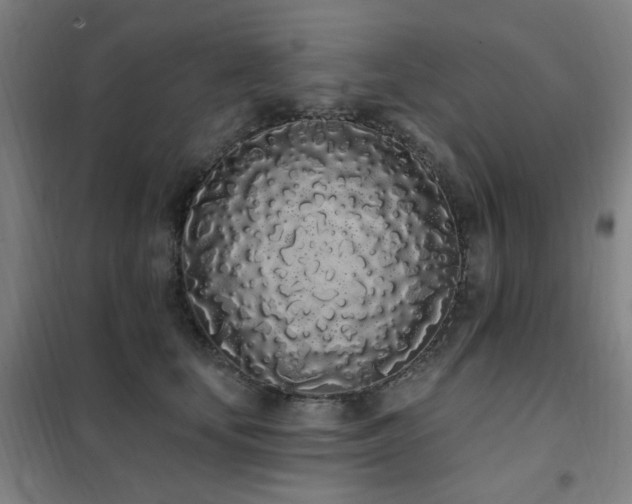X0000102290659200807251423