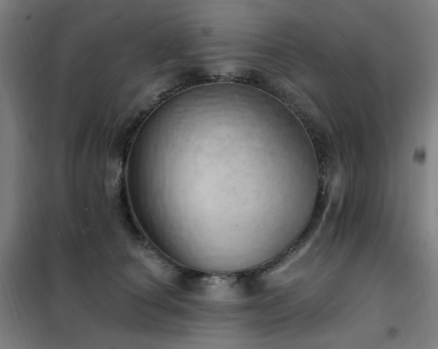 X0000102290660200807251423