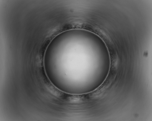 X0000102290661200807251423